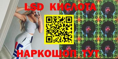 шишки Камышлов