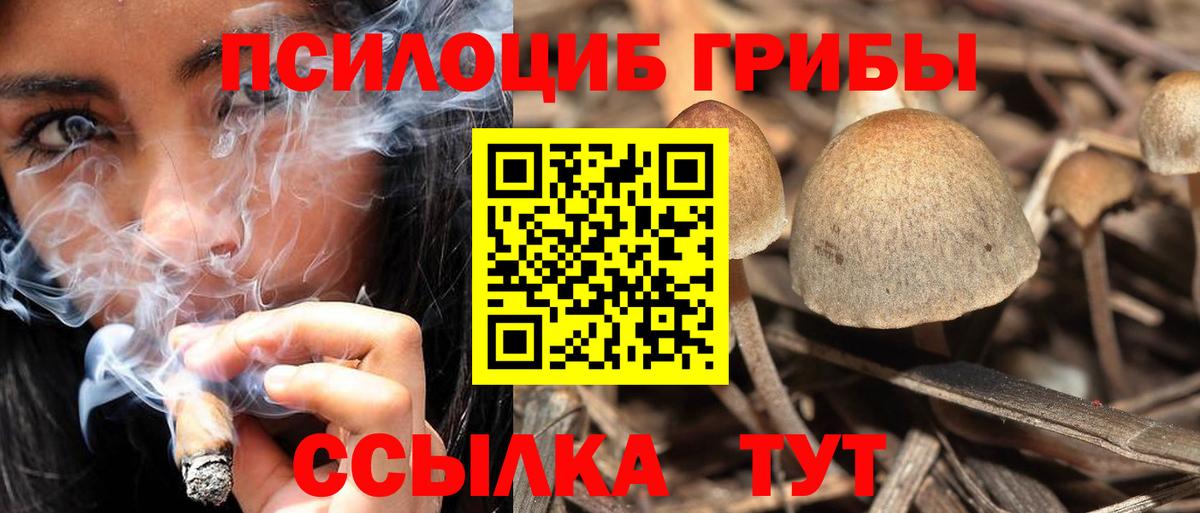 Галлюциногенные грибы Magic Shrooms Кушва
